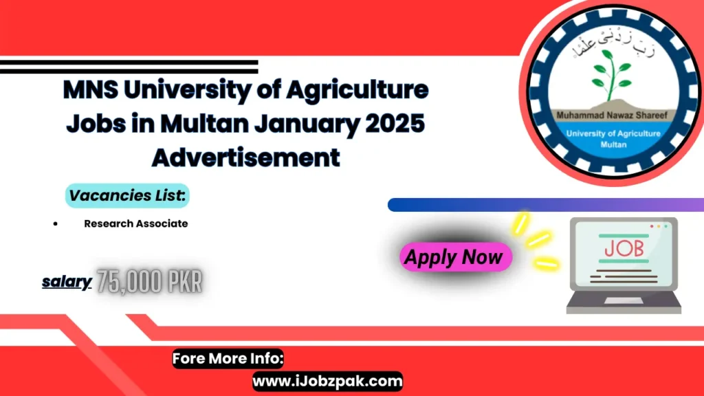 MNS University of Agriculture Jobs in Multan January 2025 Advertisement Apply Now 