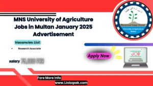 MNS University of Agriculture Jobs in Multan January 2025 Advertisement Apply Now